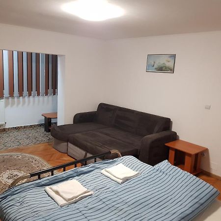 La Zoli - Apartament 1 Cam, Zona Freidorf Cu Parcare Publica Apartment Timisoara Bagian luar foto