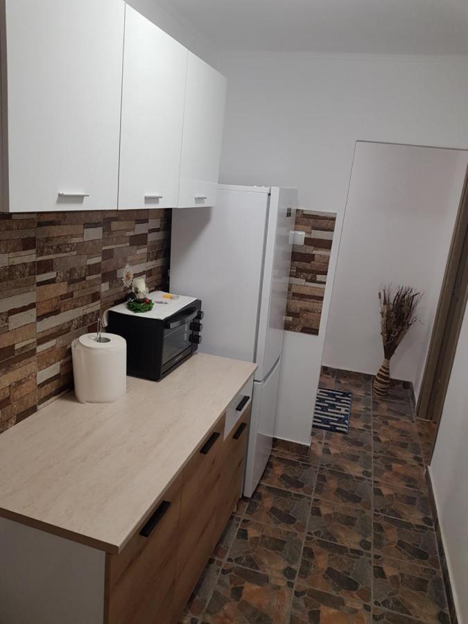 La Zoli - Apartament 1 Cam, Zona Freidorf Cu Parcare Publica Apartment Timisoara Bagian luar foto